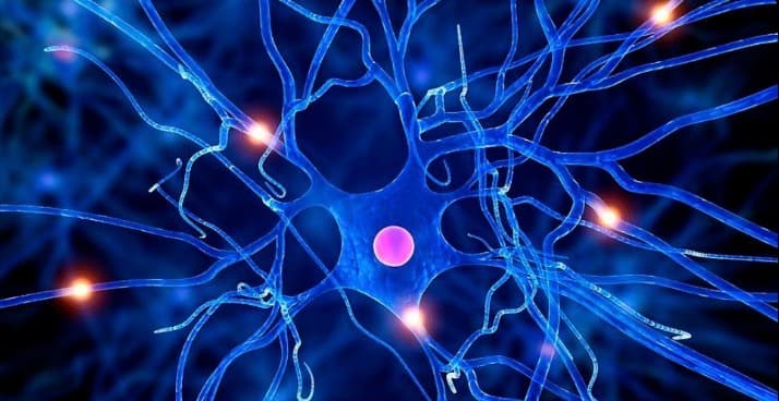 تخطيط اعصاب و عضلات (اطراف)